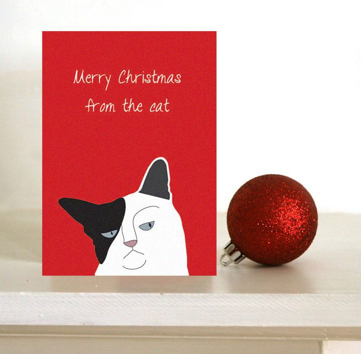 Christmas Card from the Cat - Grumpy cat card