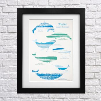 Whale Screen Print