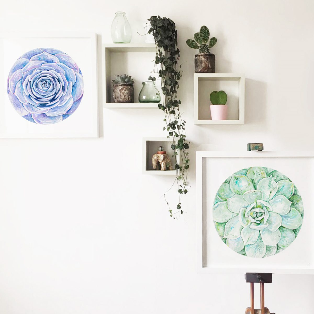 Green Succulent Limited Edition Print