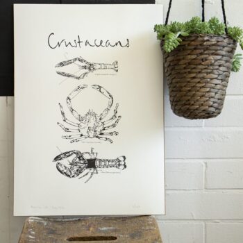 Large Crustaceans Screen Print - Langoustine, Spider Crab, Lobster