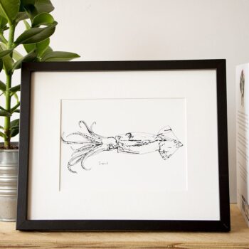 Little Squid print