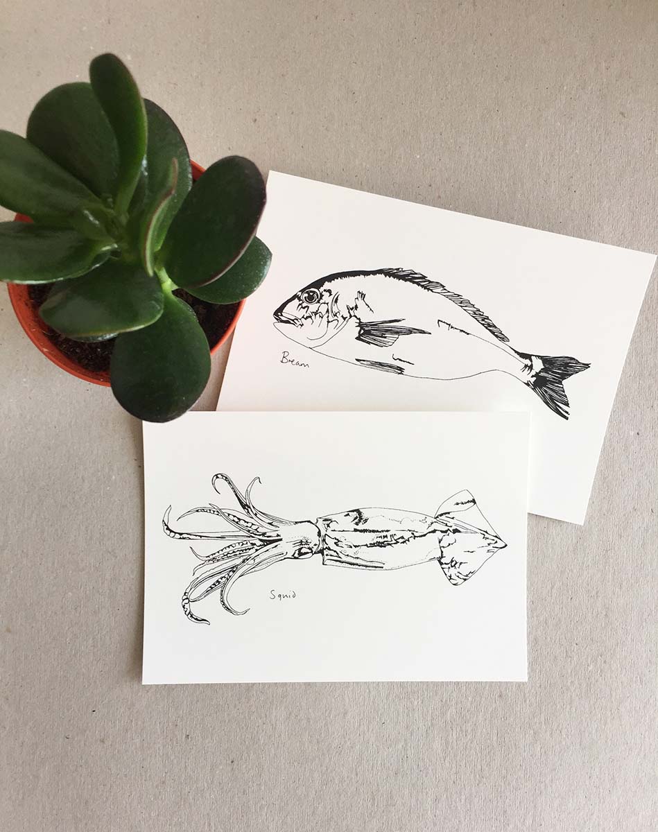 Little Squid print