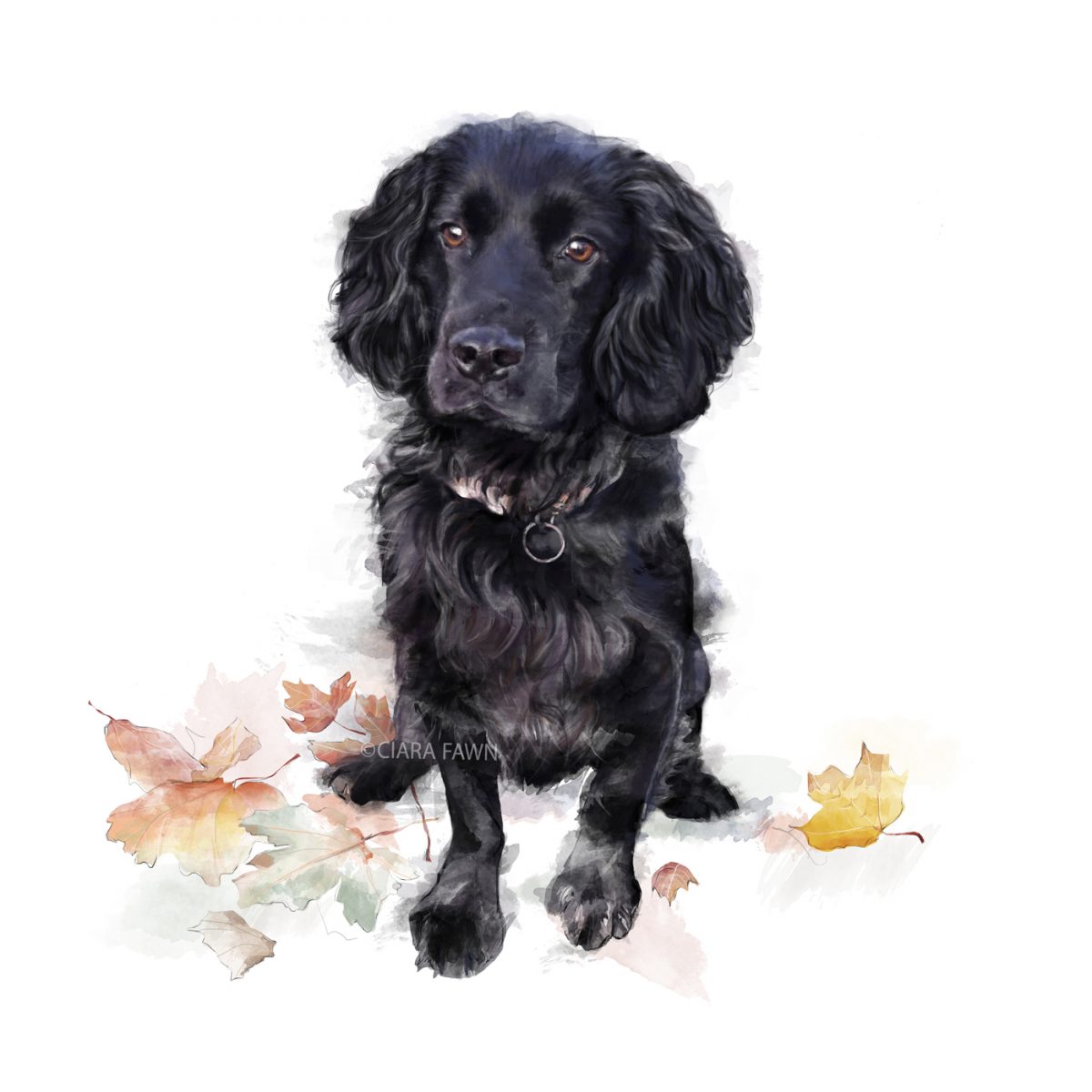 Bespoke Illustrated Pet Portrait
