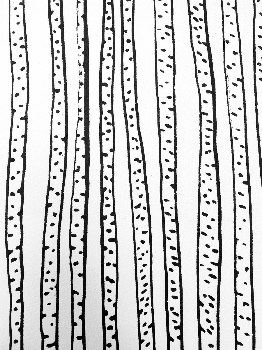 Birch Forest - original print