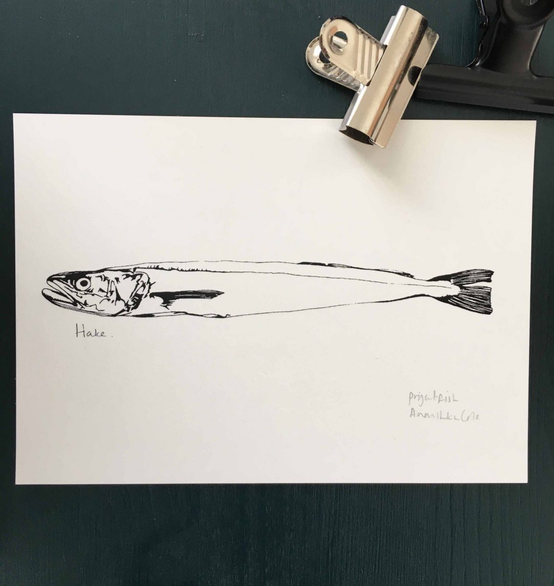 Little Hake print