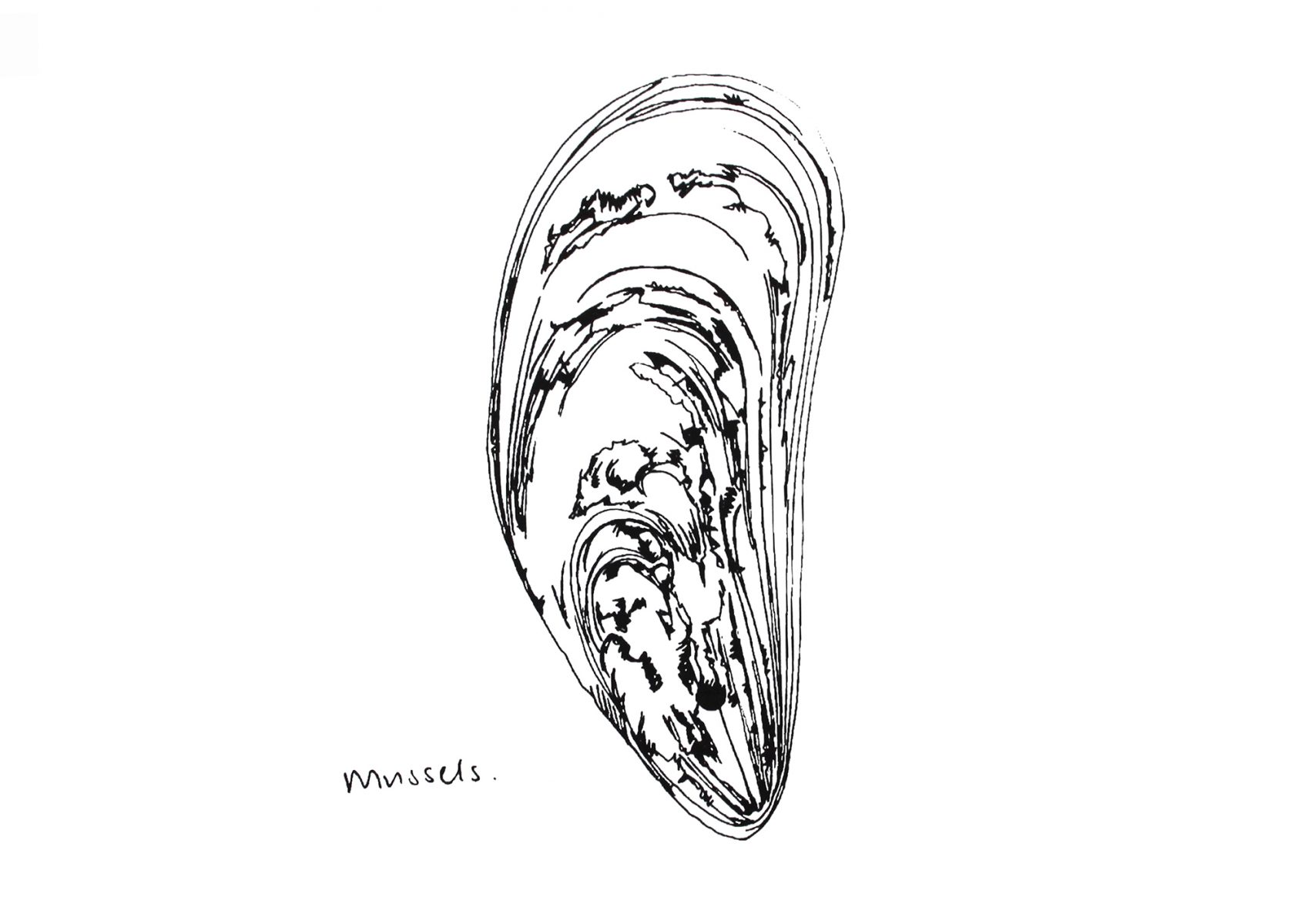 Little Mussel screenprint