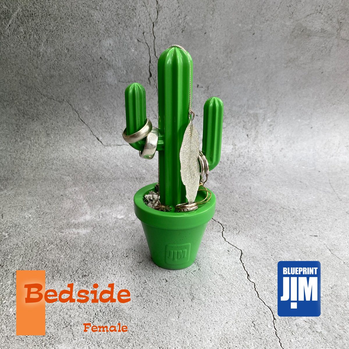 Cactijim - Cactus desk tidy