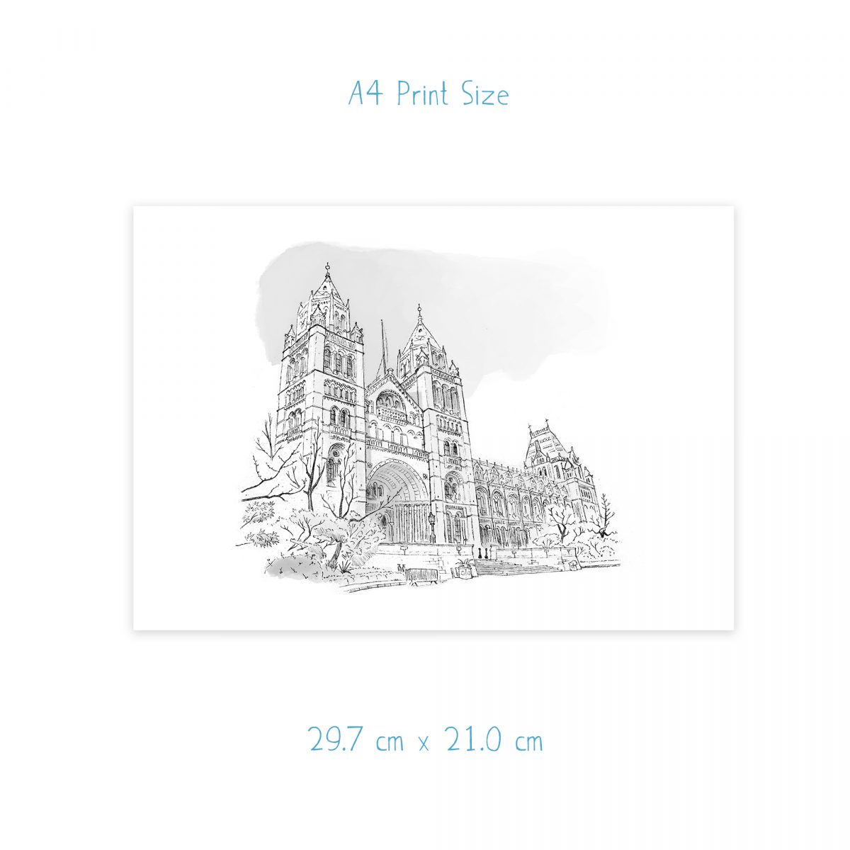 Natural History Museum sketch, London artwork, signed print