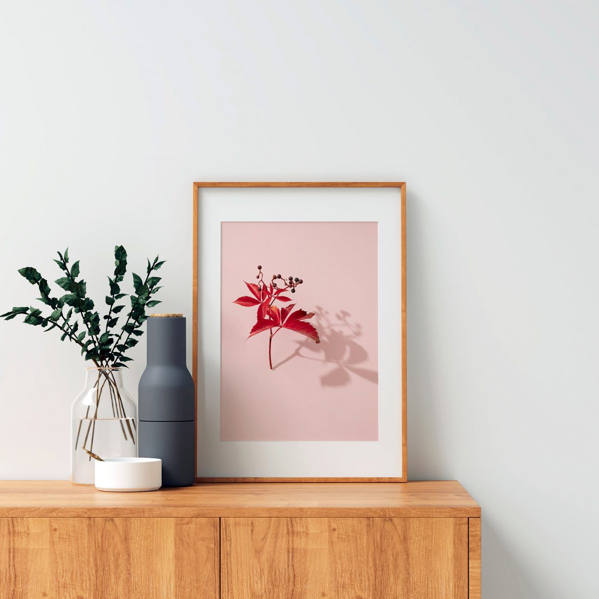 'Virginia Creeper on Pink', Fine Art Print (Unframed) from the series 'Sun, Shadows & Little Trees'