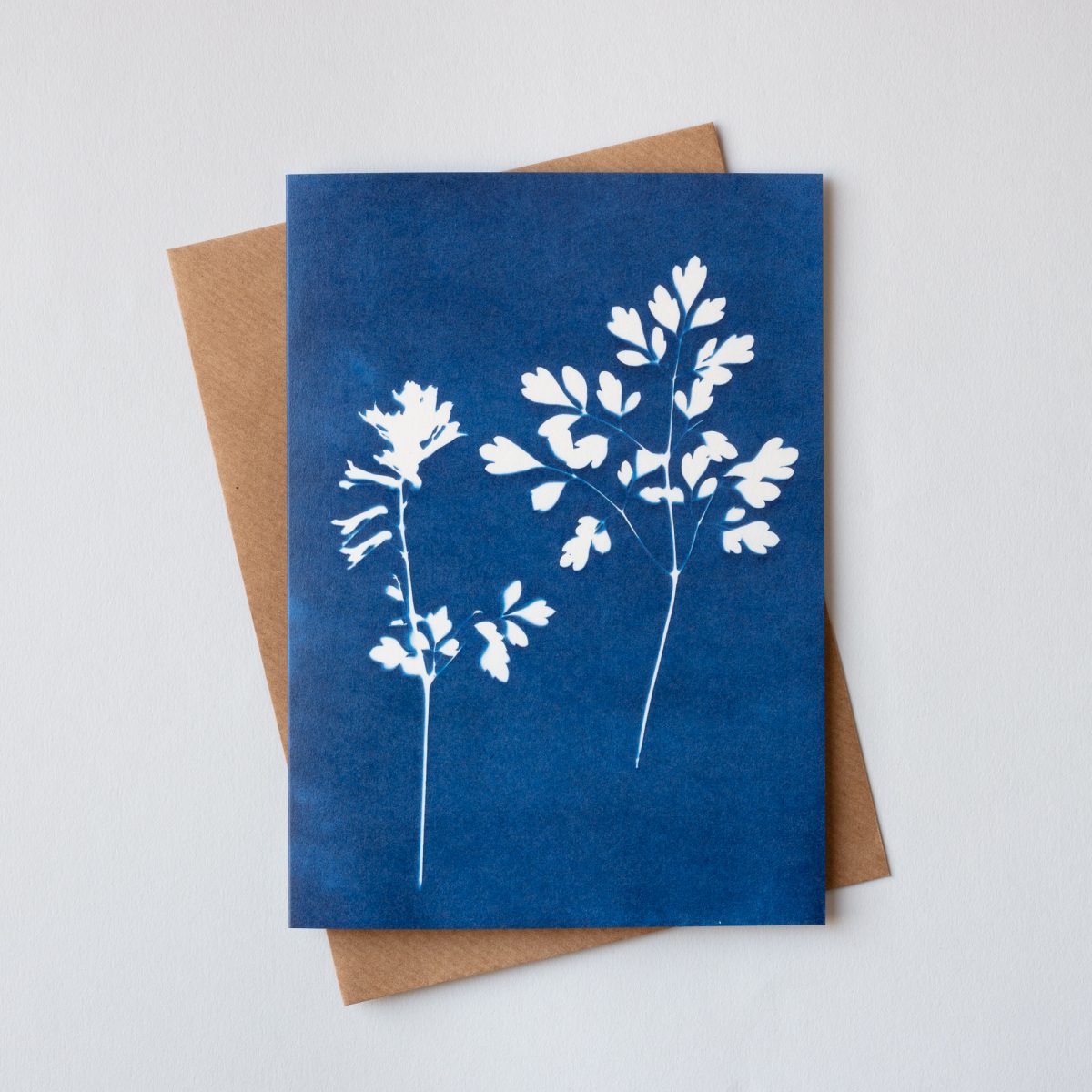 Blue Cyanotype Botanical Greetings Cards - Set of 3