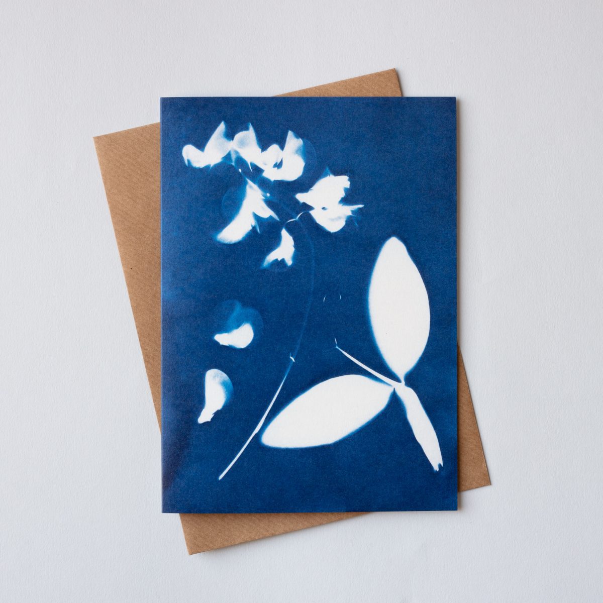 Blue Cyanotype Botanical Greetings Cards - Set of 3