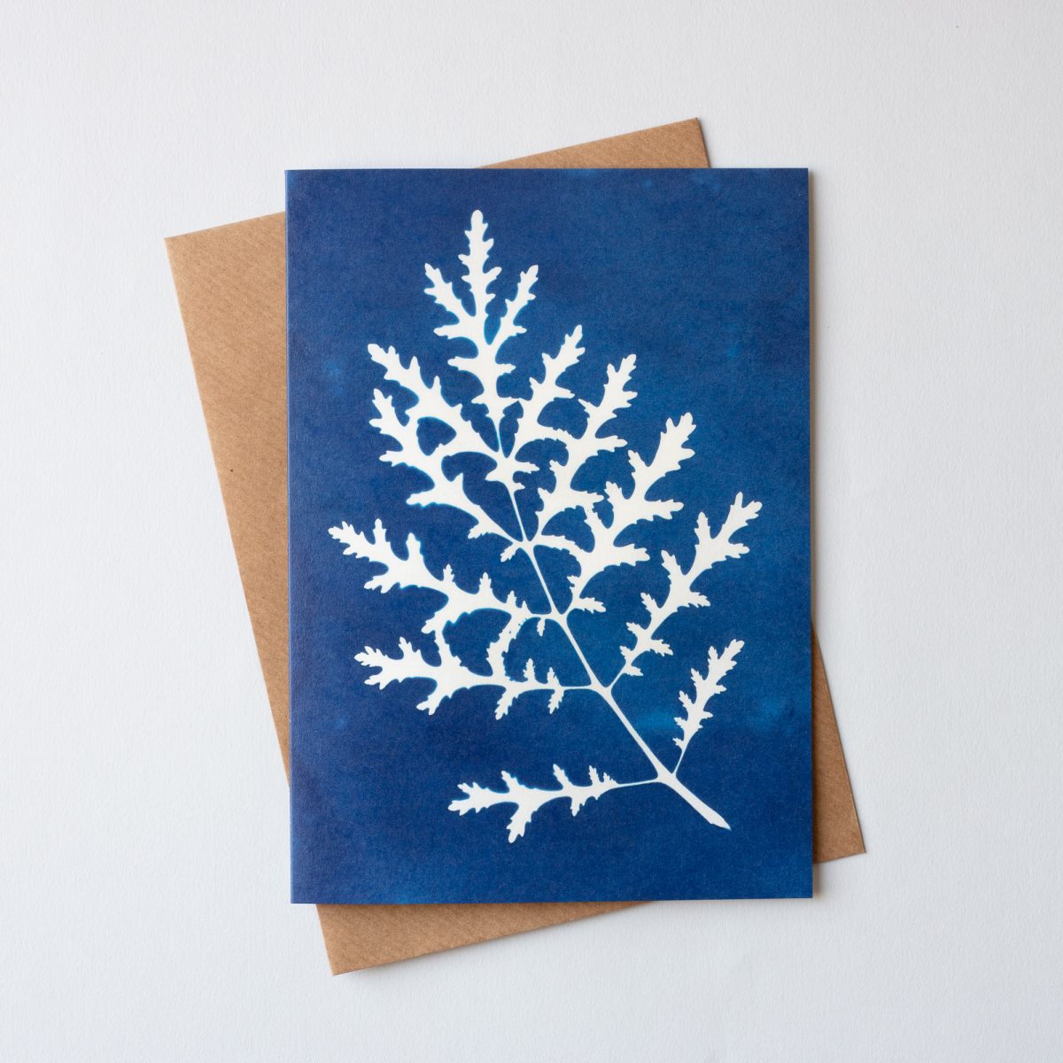 Blue Cyanotype Botanical Greetings Cards - Set of 3