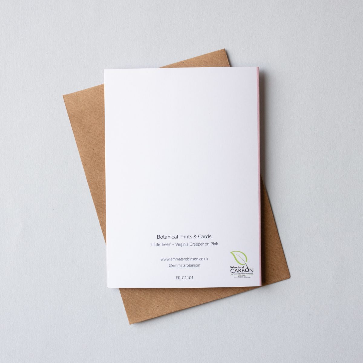 Colourful Botanical Greetings Cards - Set of 5