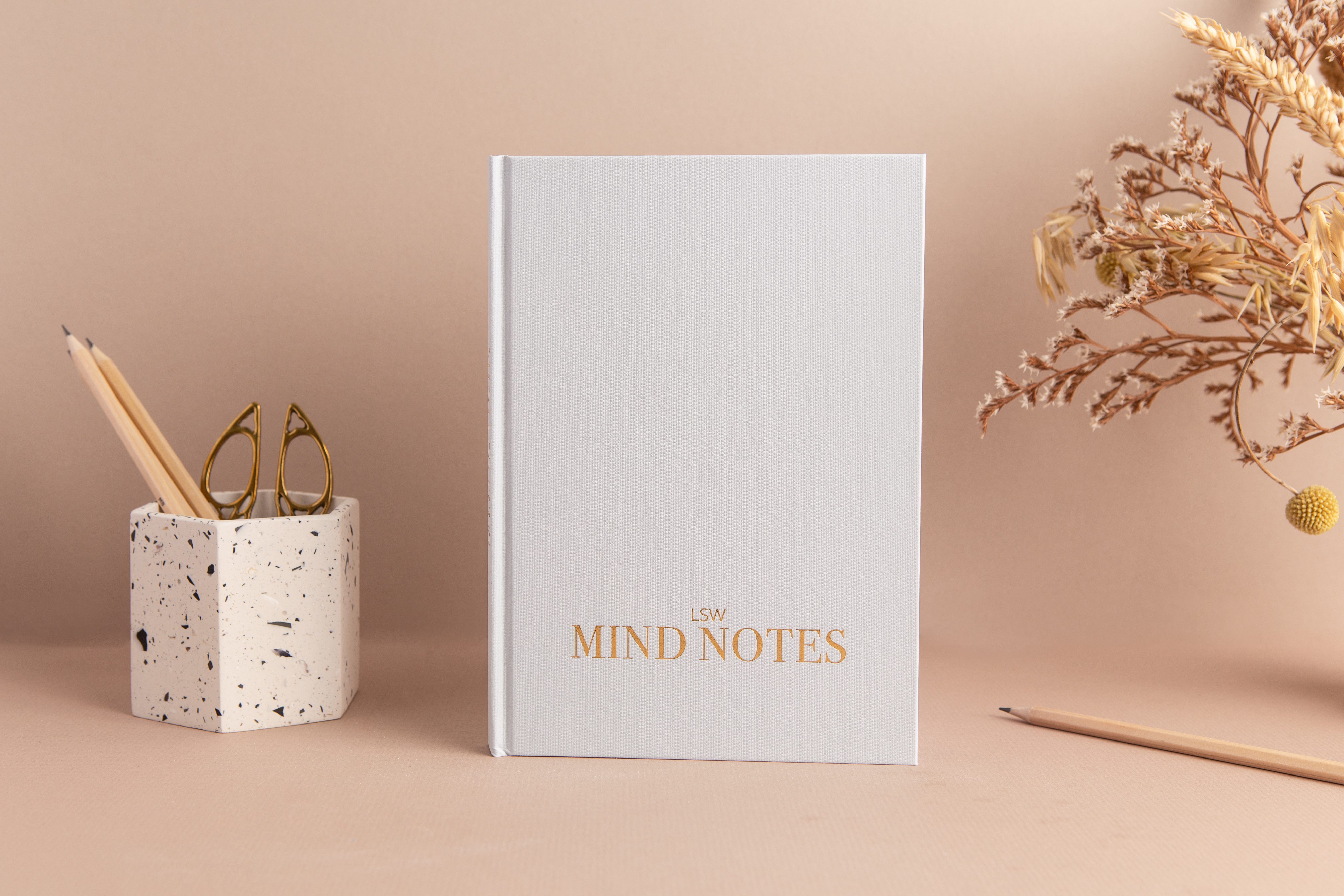 LSW Mind Notes