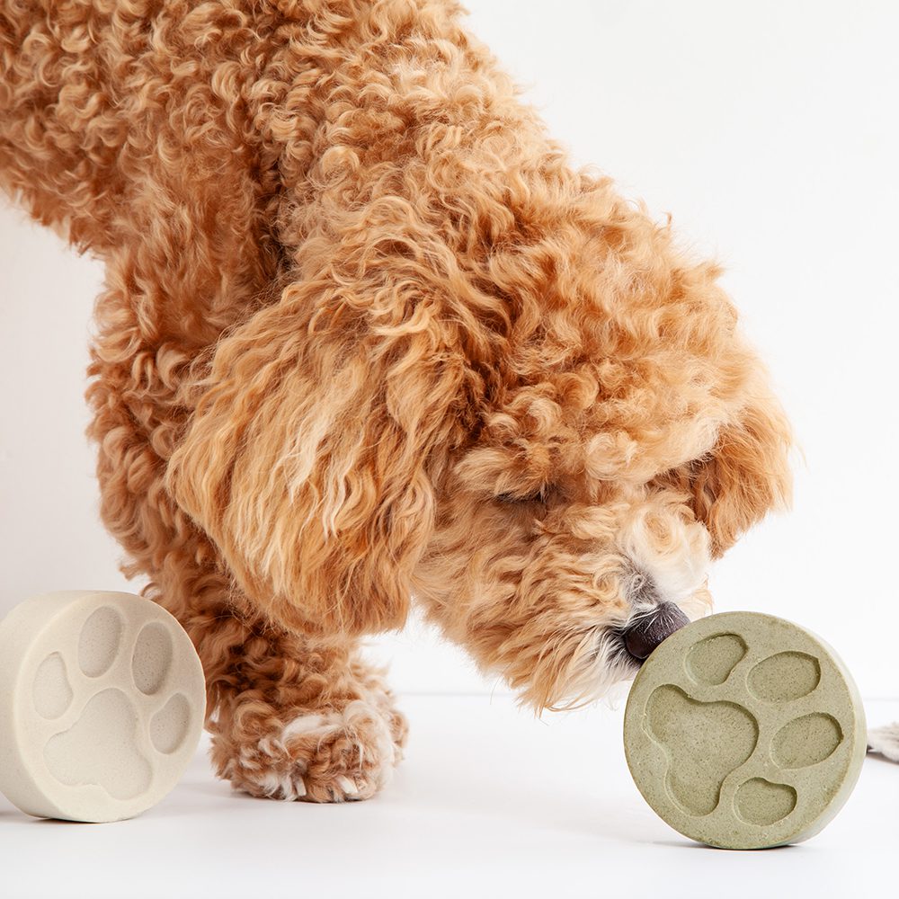 Dog sniffing Dog Shampoo Bar