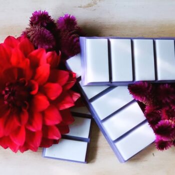Blueberry and Vanilla Soy Wax Snap Bar