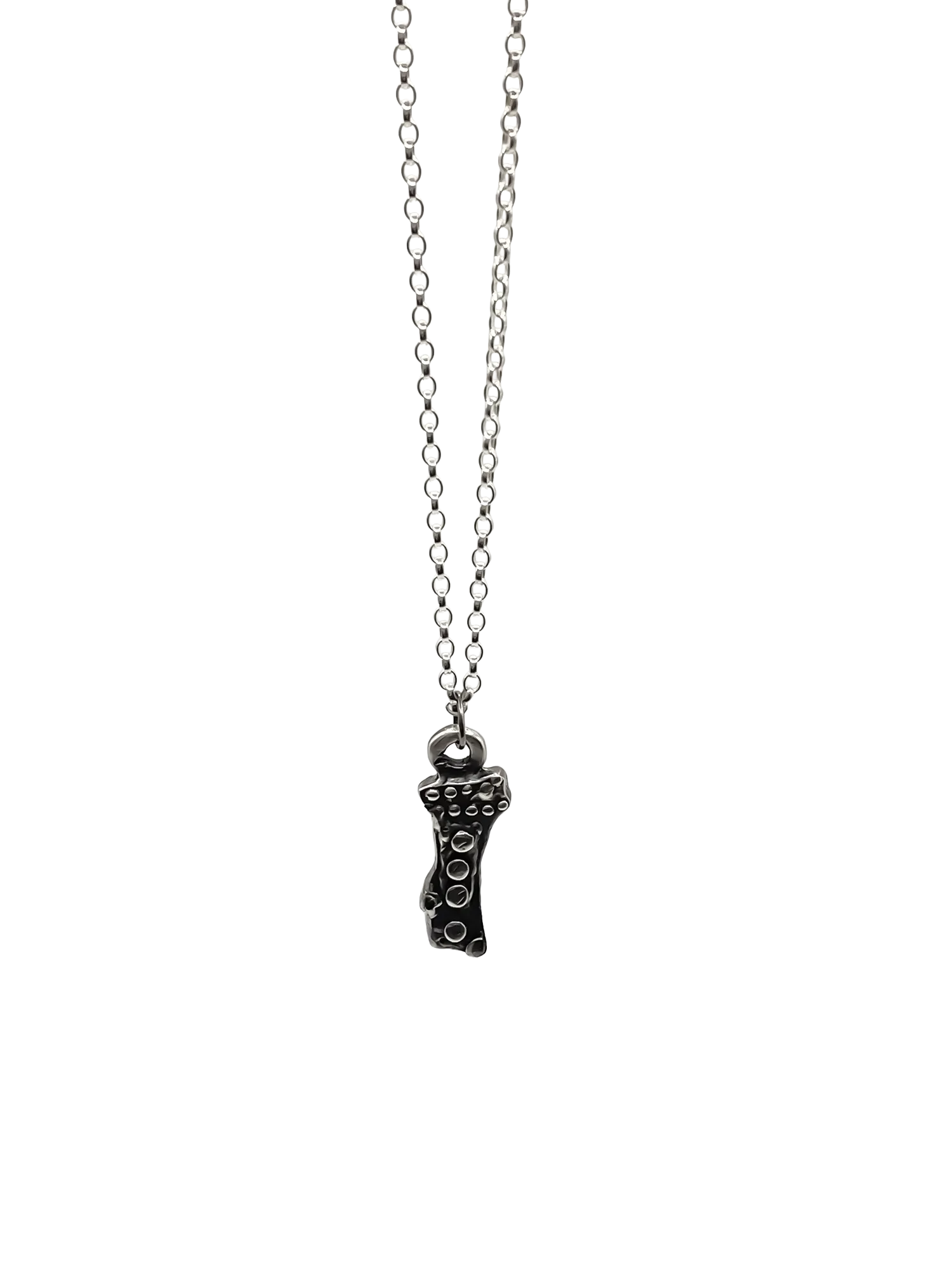Close-up of Twig Pendant in recycled silver on chain, white backdrop
