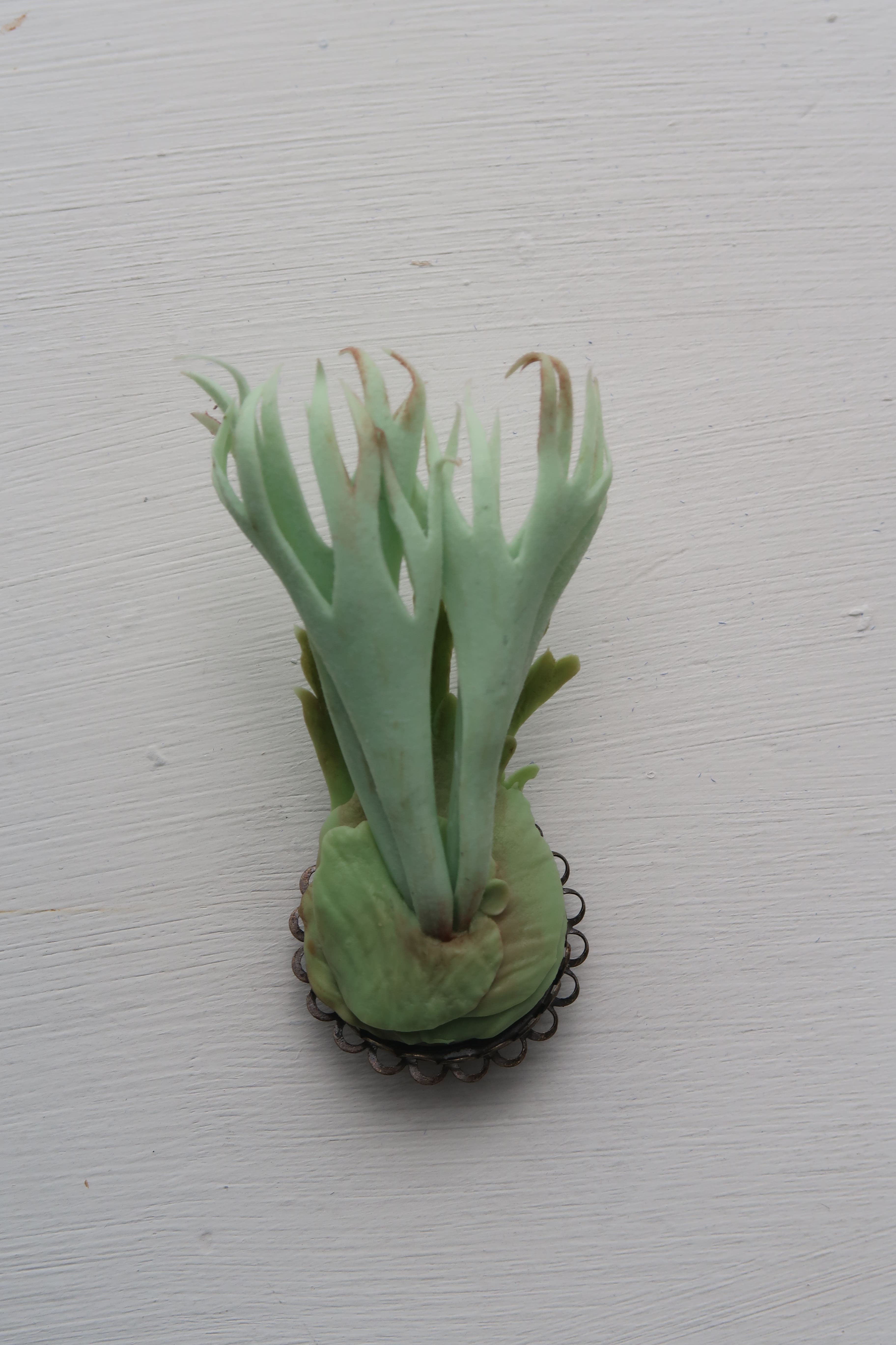 Handmade clay staghorn fern brooch