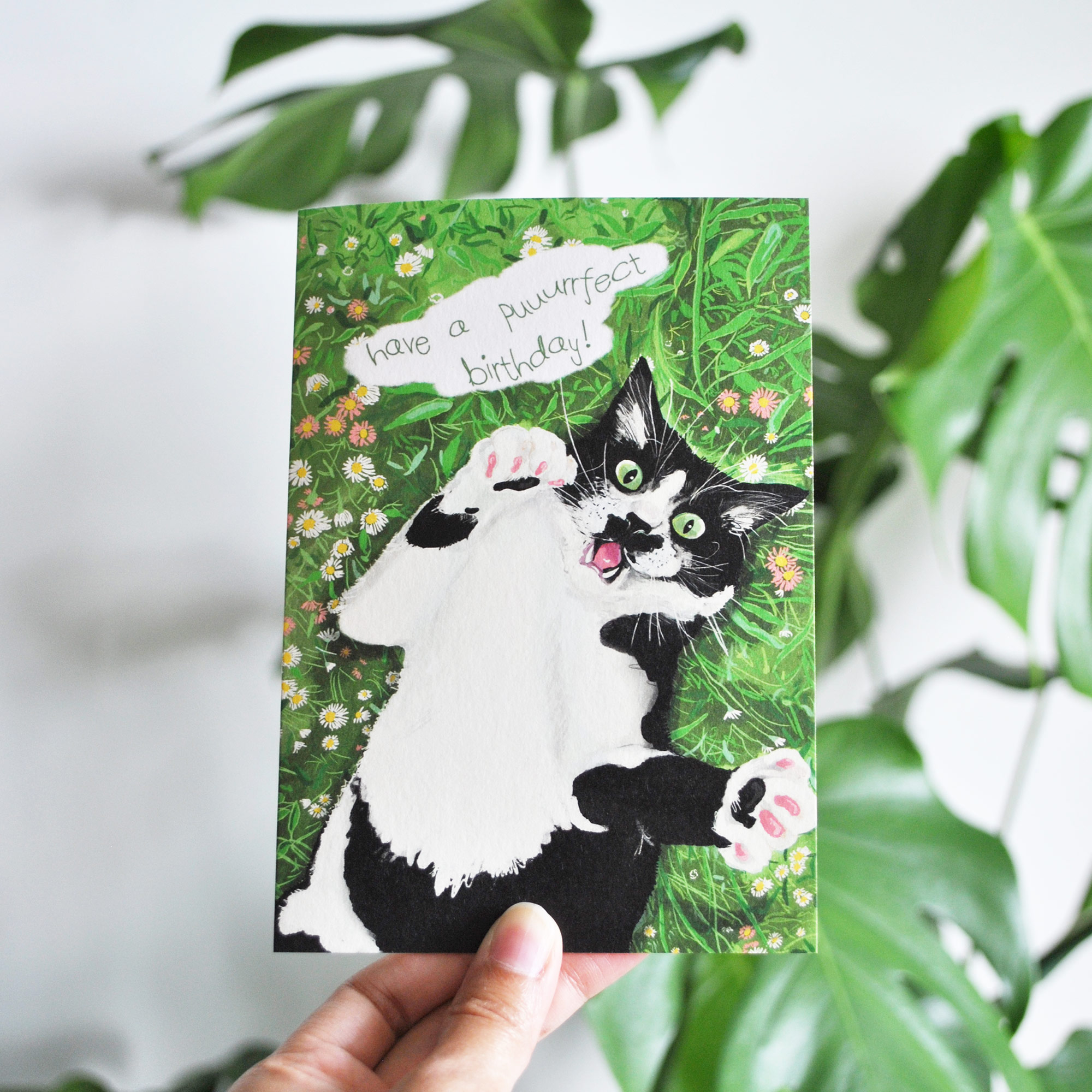 Birthday Card Cat