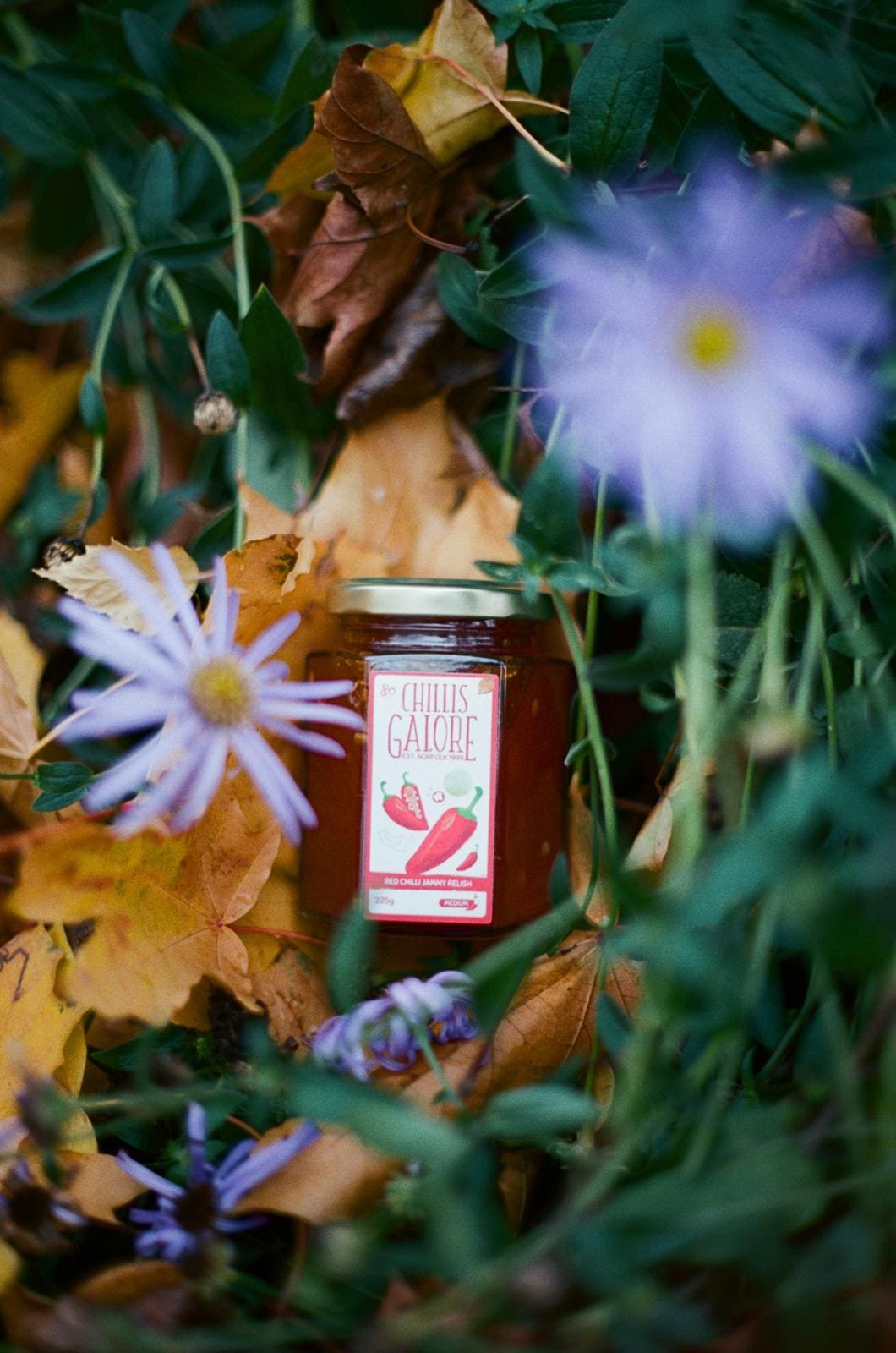 Spicy Jammy Relish