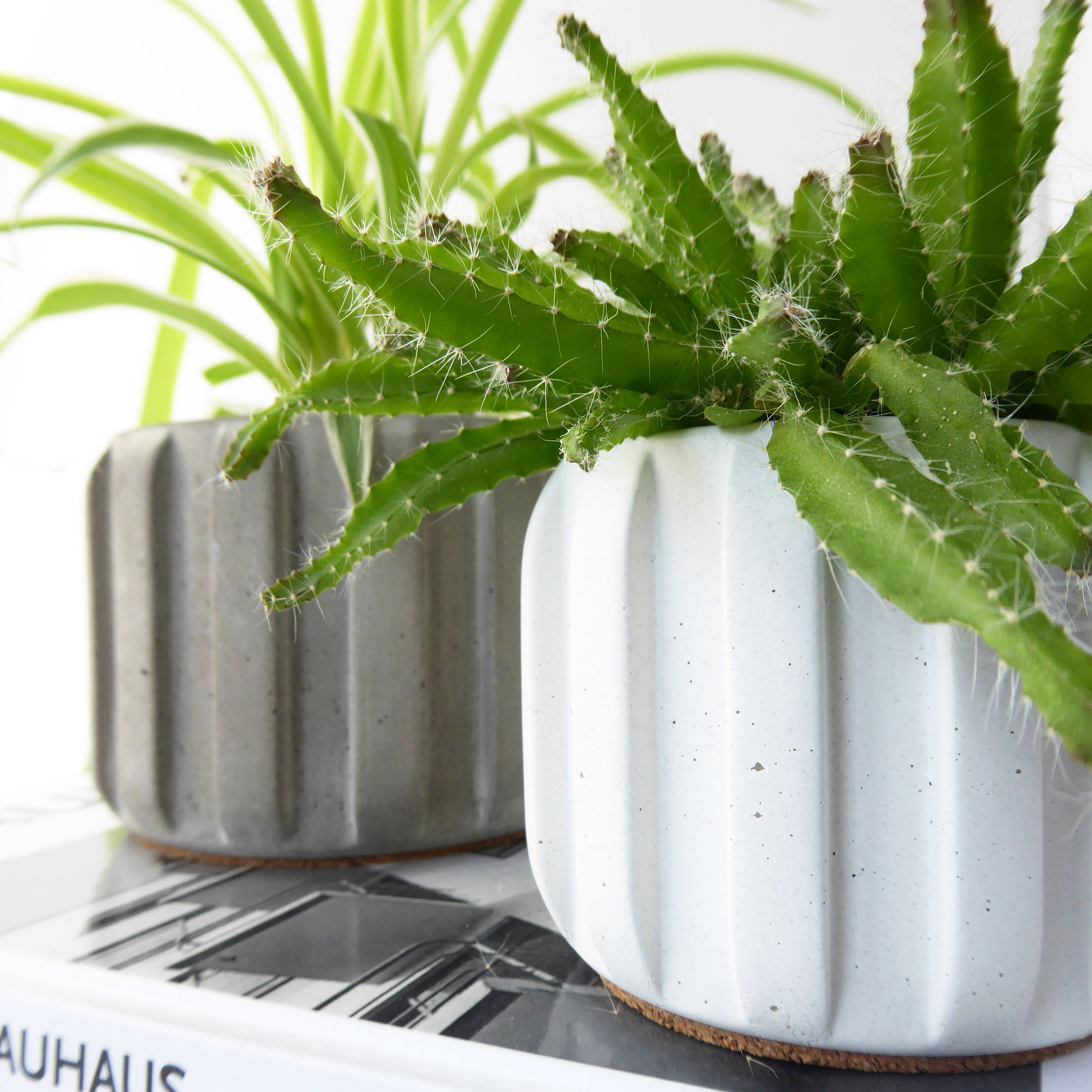 Handmade concrete plant pot - natural grey or white