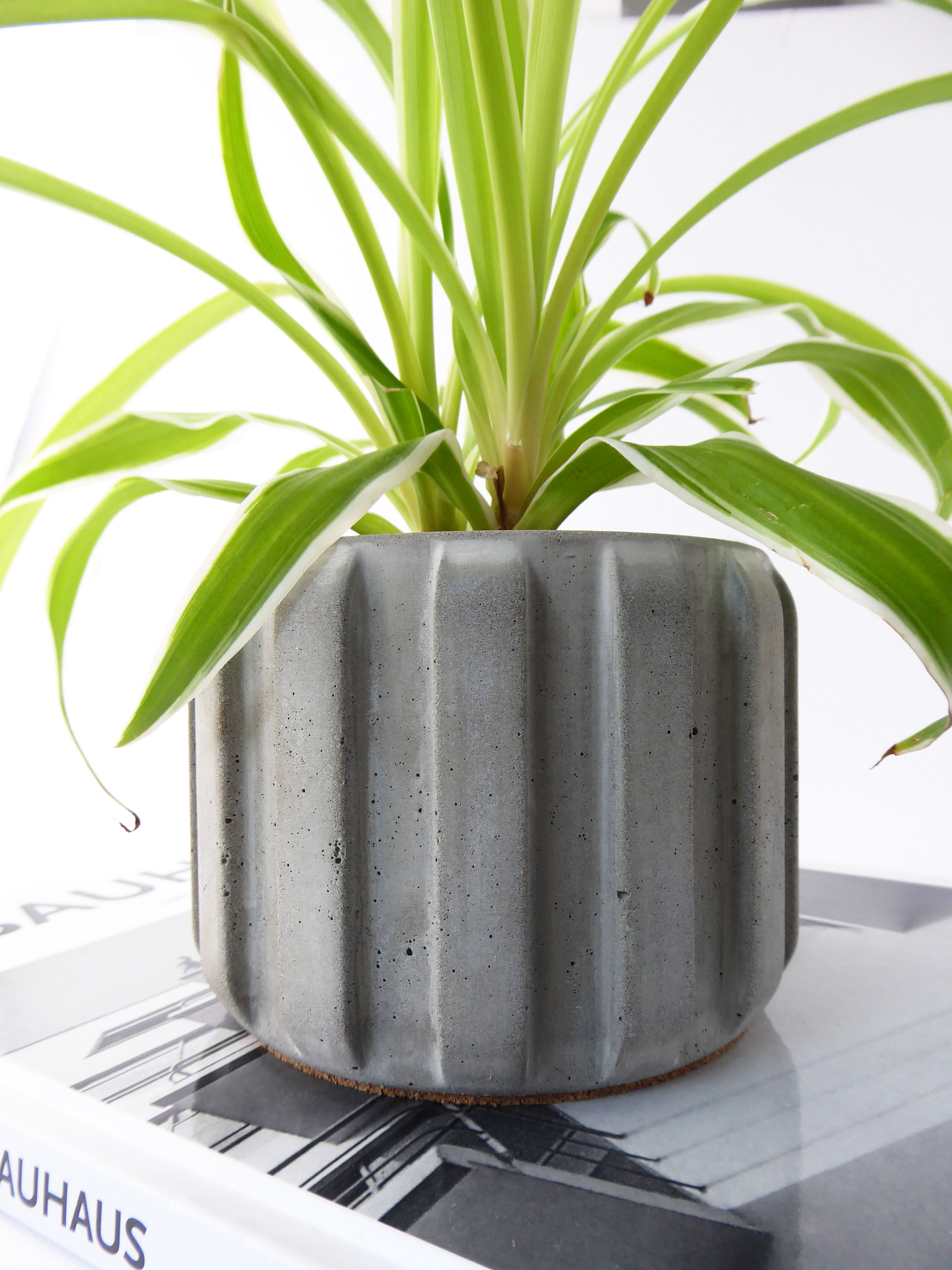 Handmade concrete plant pot - natural grey or white