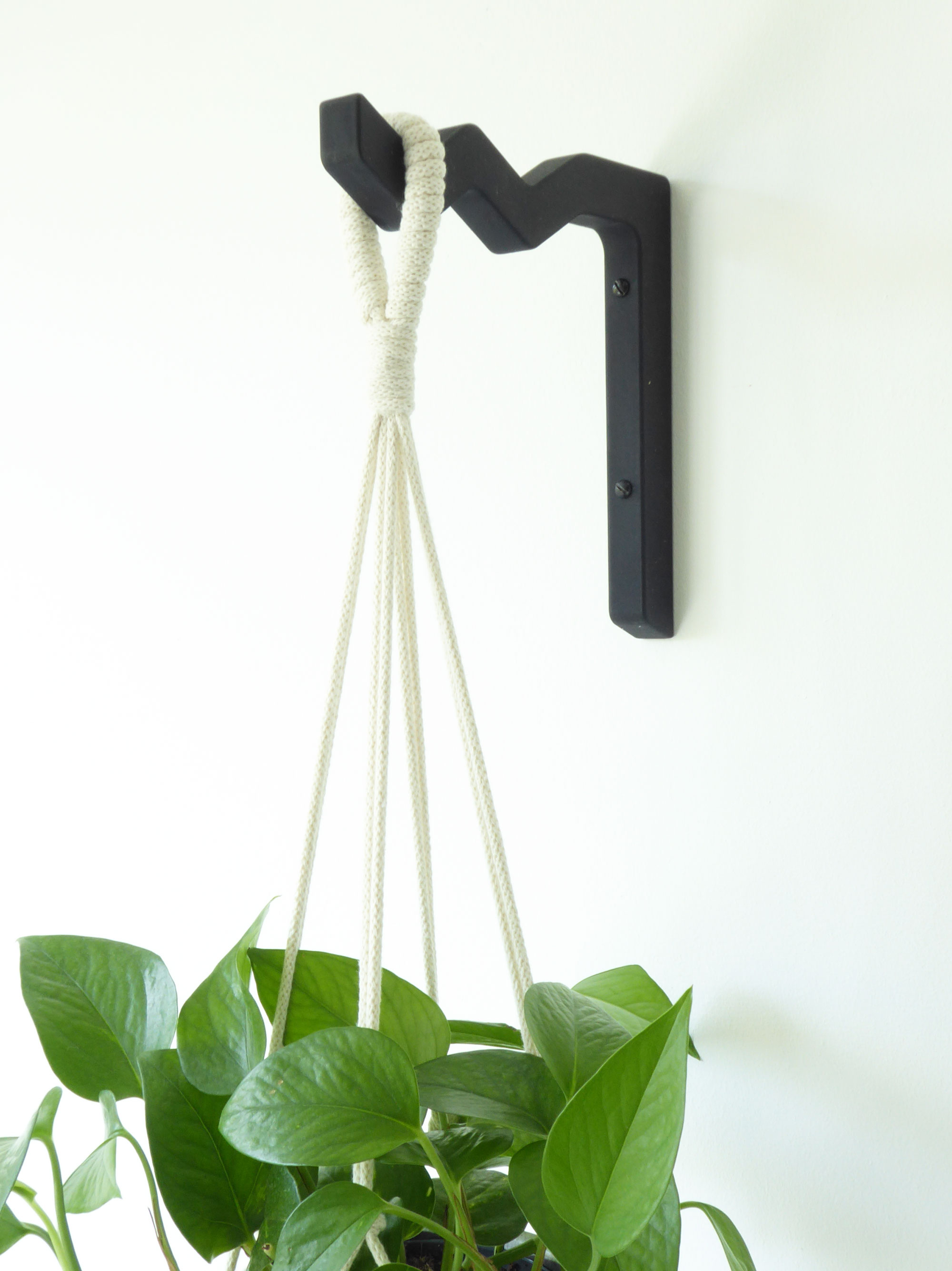 Wall mounted indoor wooden plant hanger - black or sage