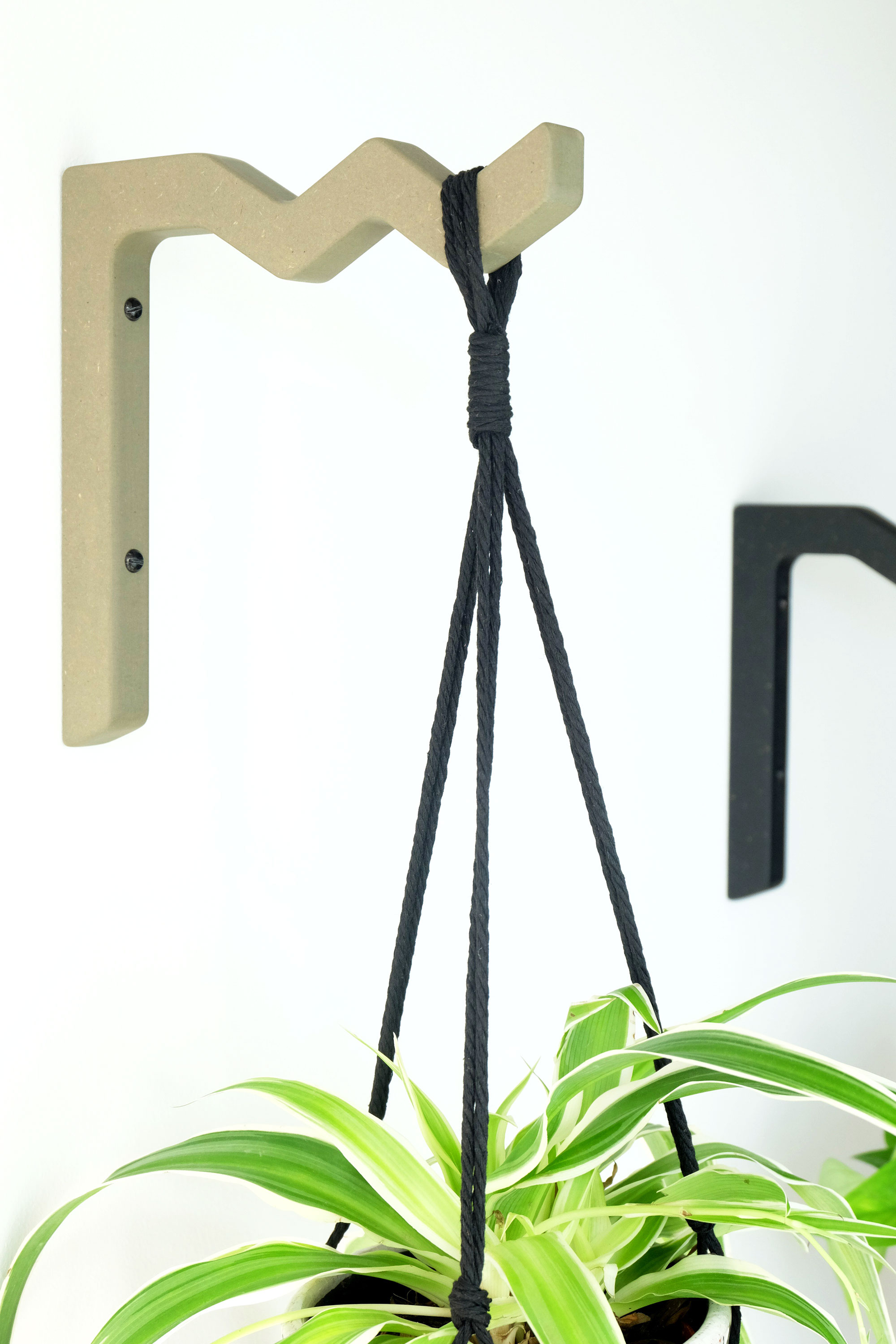 Wall mounted indoor wooden plant hanger - black or sage