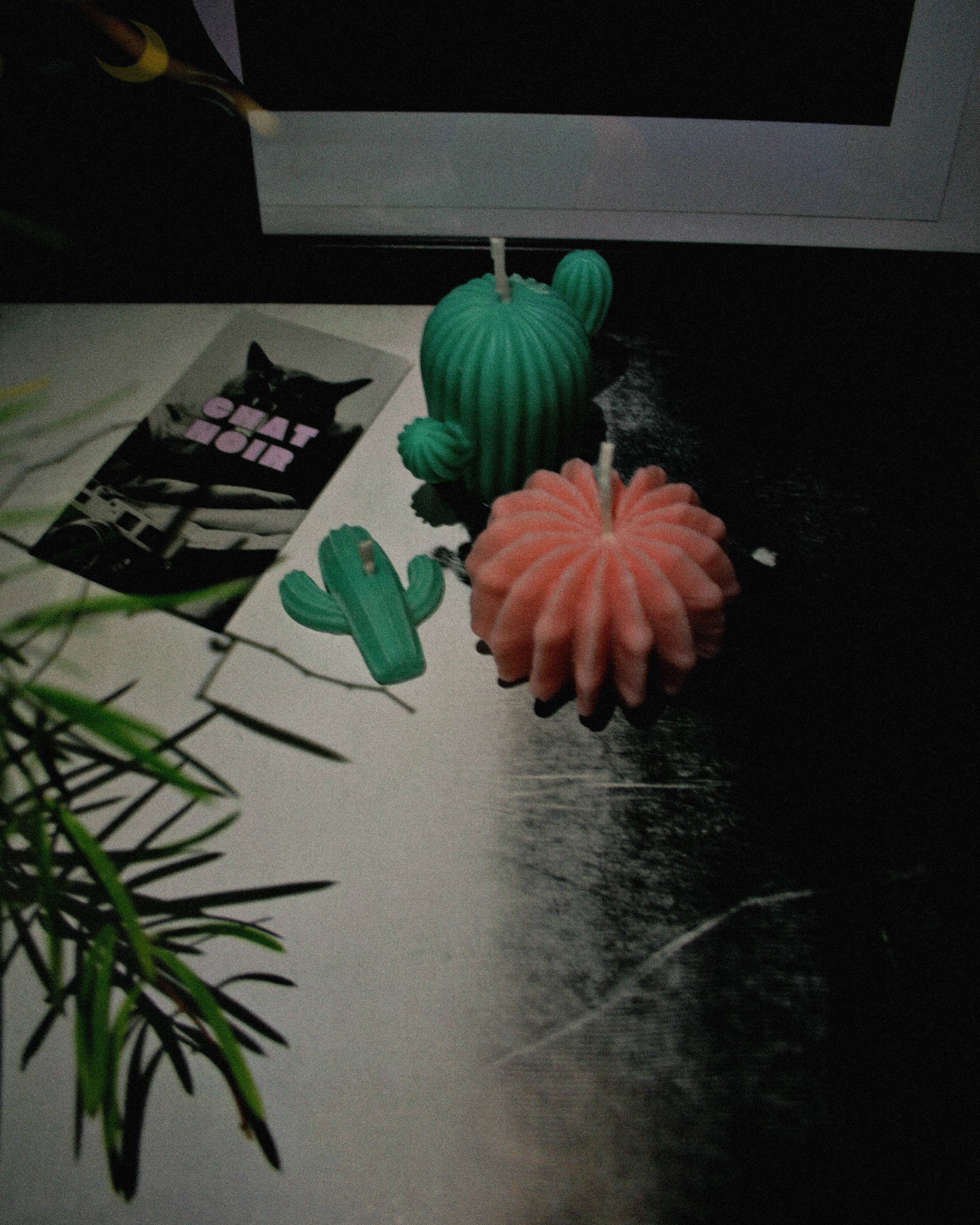 Cactus - Handmade Natural Rapeseed & Coconut Wax Scented Candles