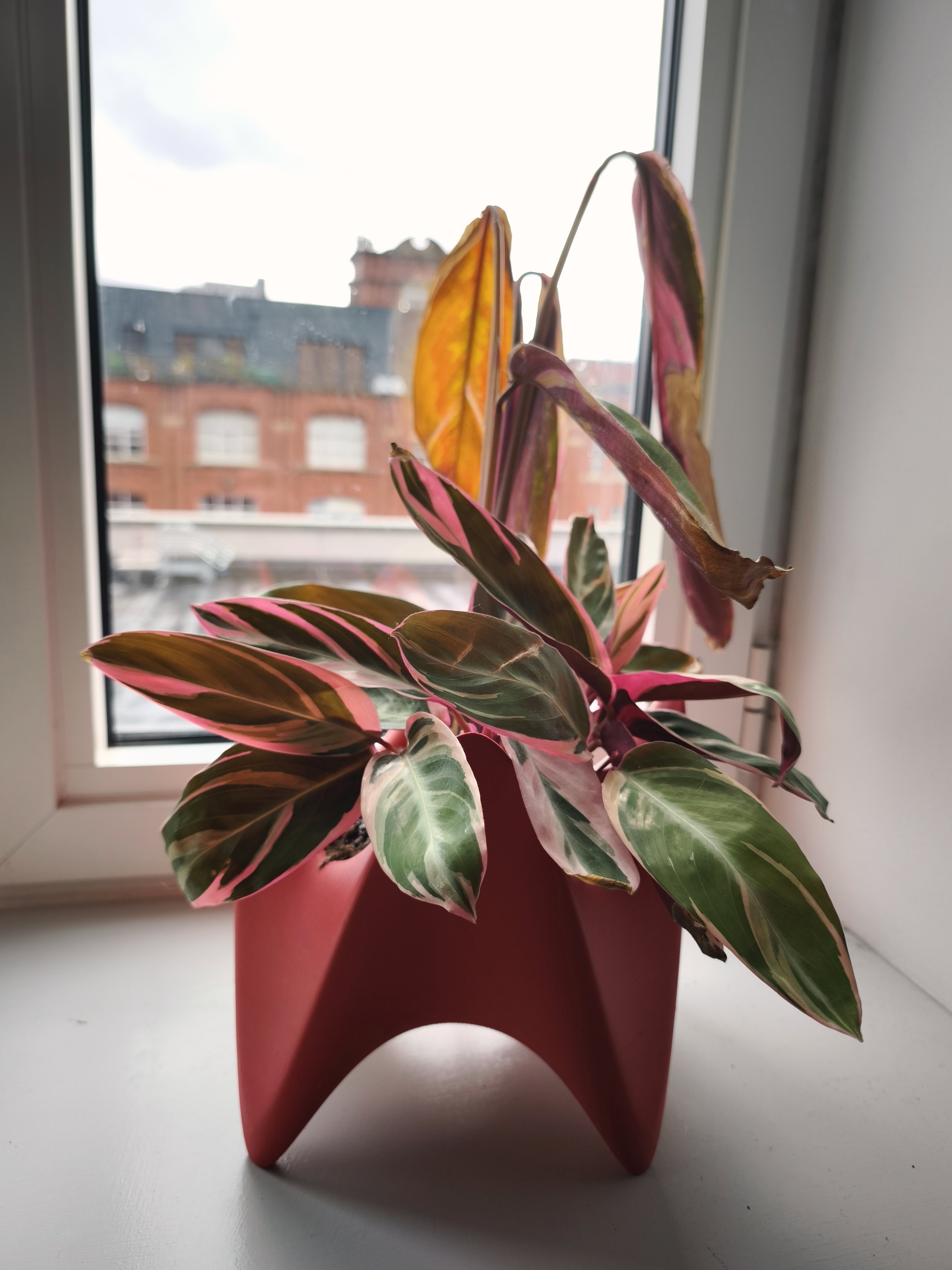 "Crown Vase" - Vase Sculpture