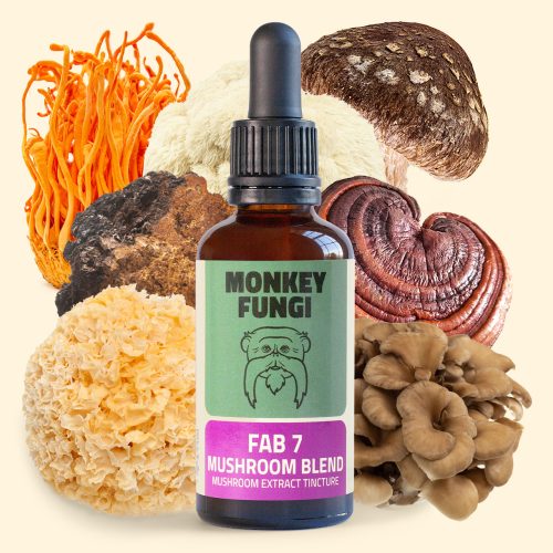 money-fungi Monkey Fungi - Urban Makers